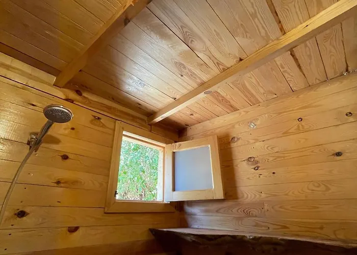 شقة Tree Cabinah دهب