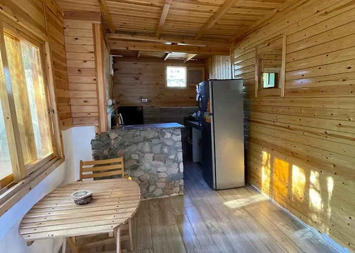 Tree Cabinah *